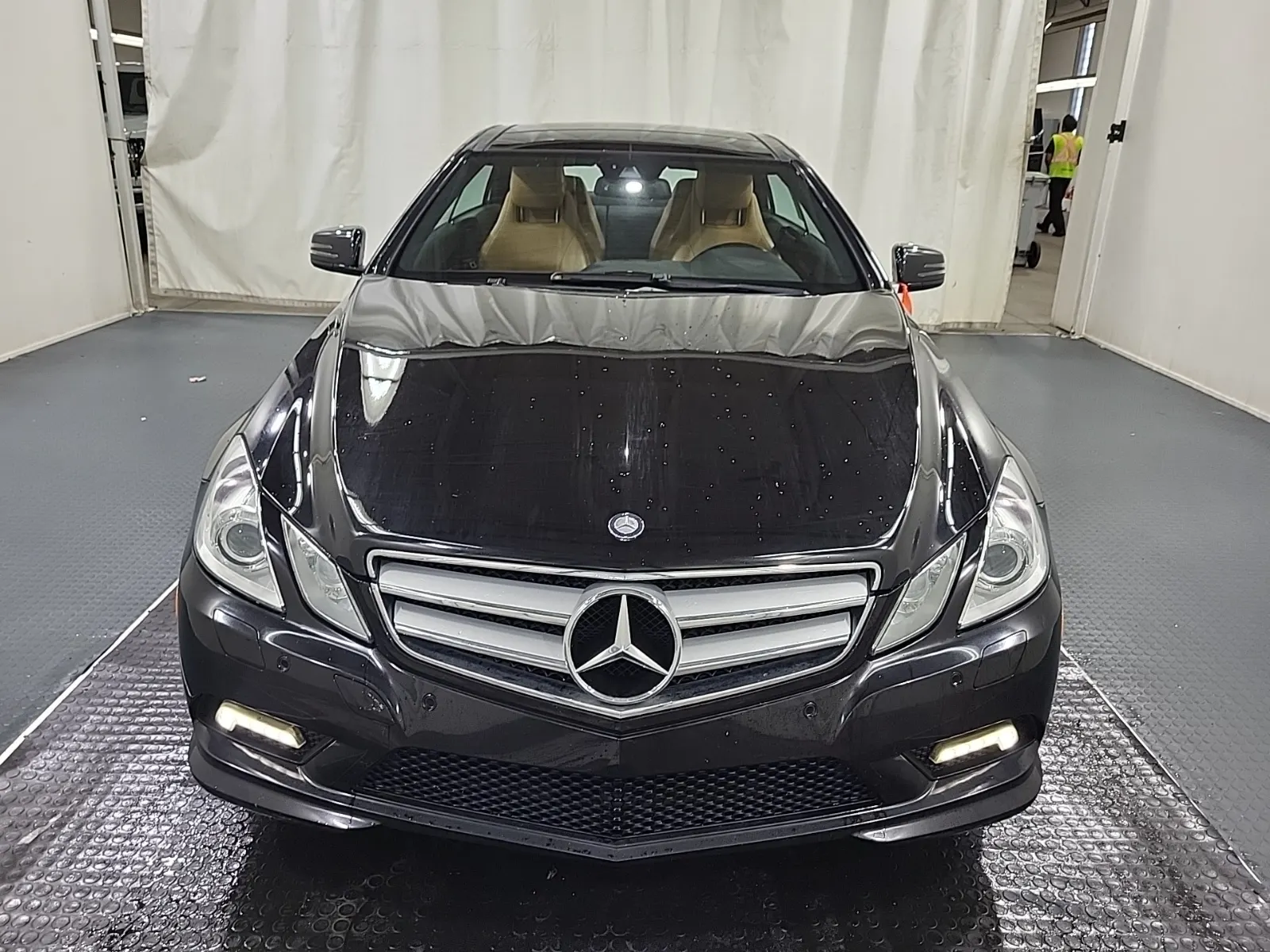 Full Front Photo
