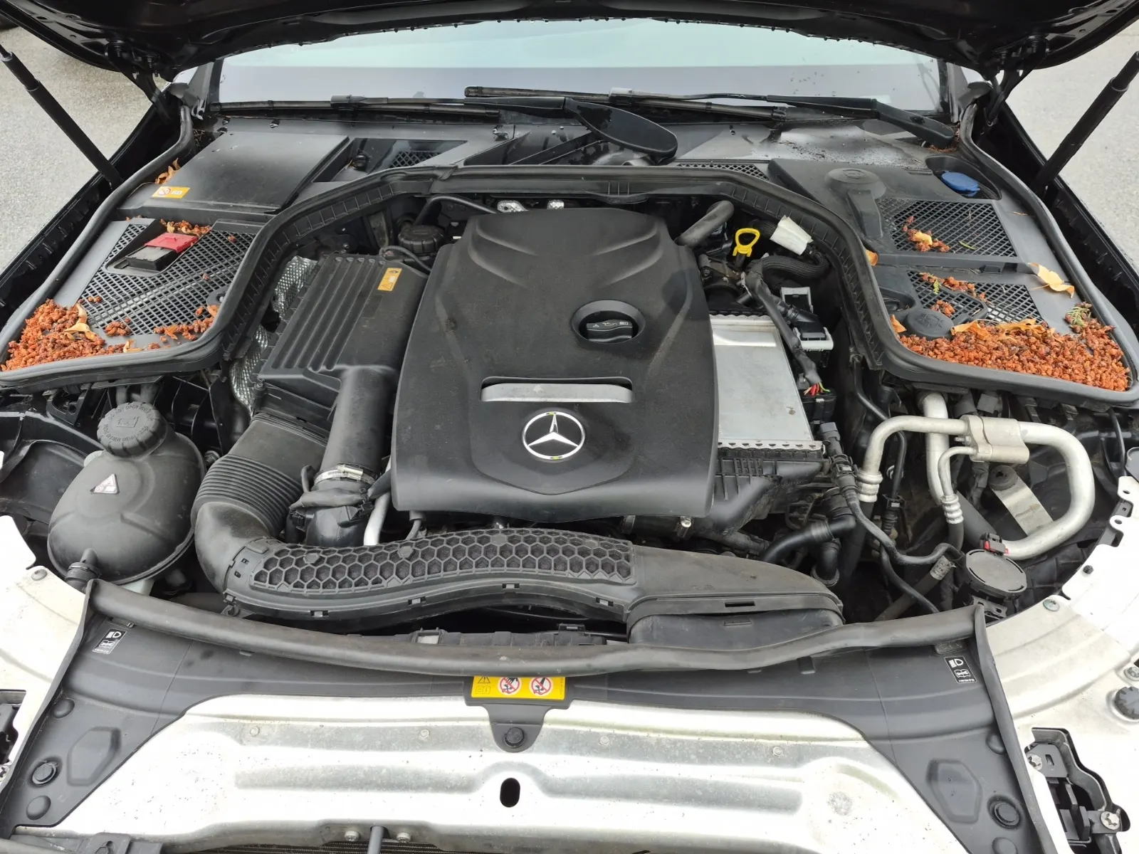 Engine Photo