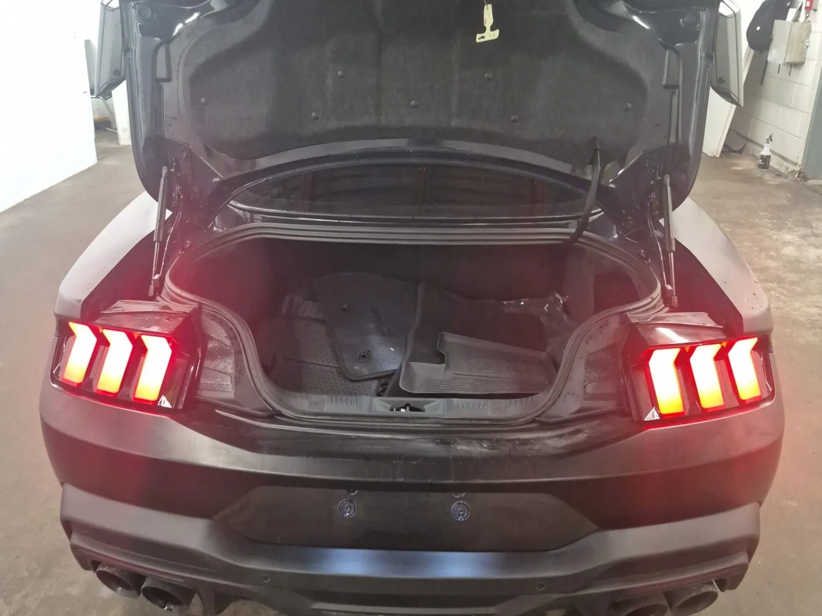Cargo Area Photo
