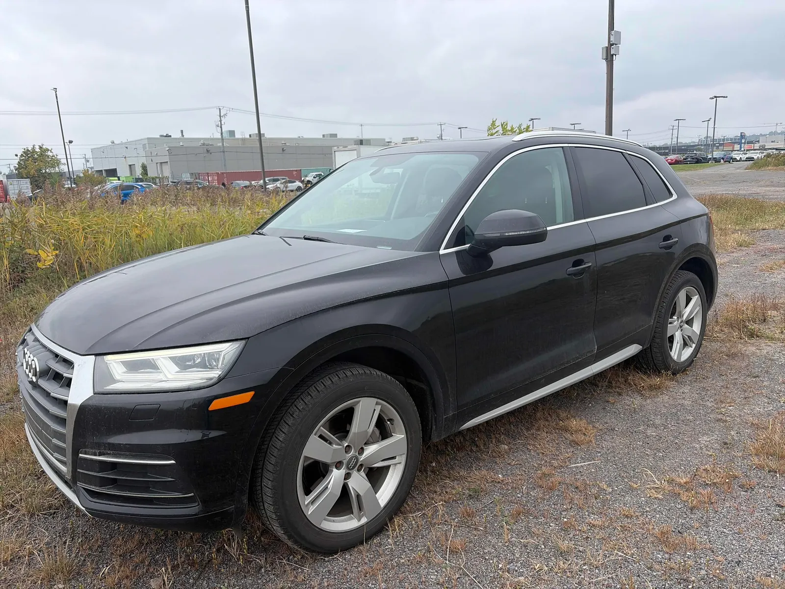 2019 Audi Q5