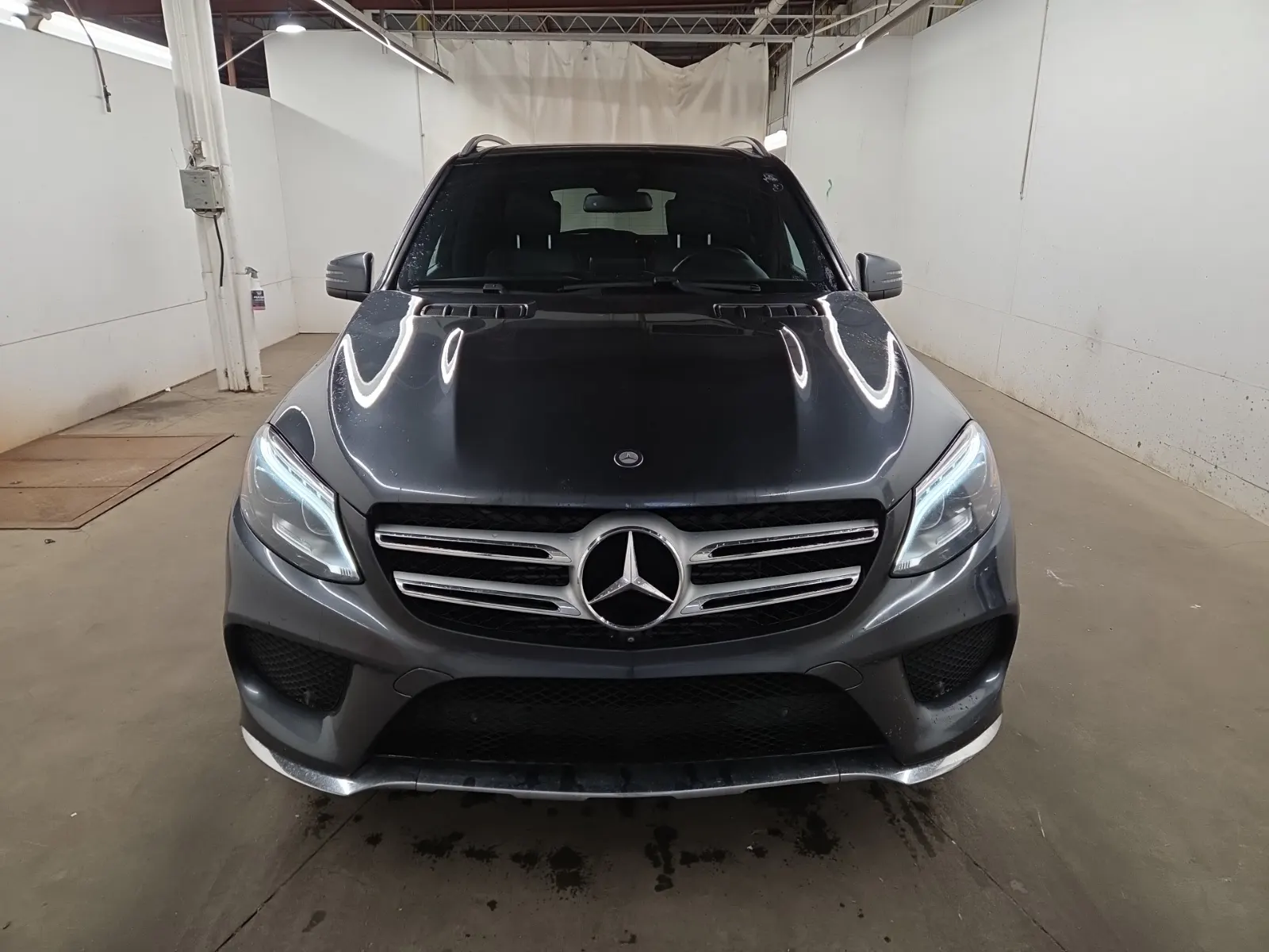 Full Front Photo