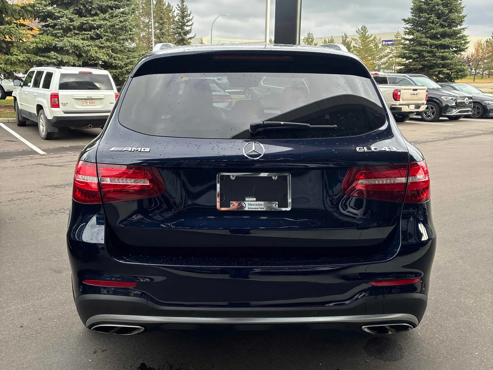 Back