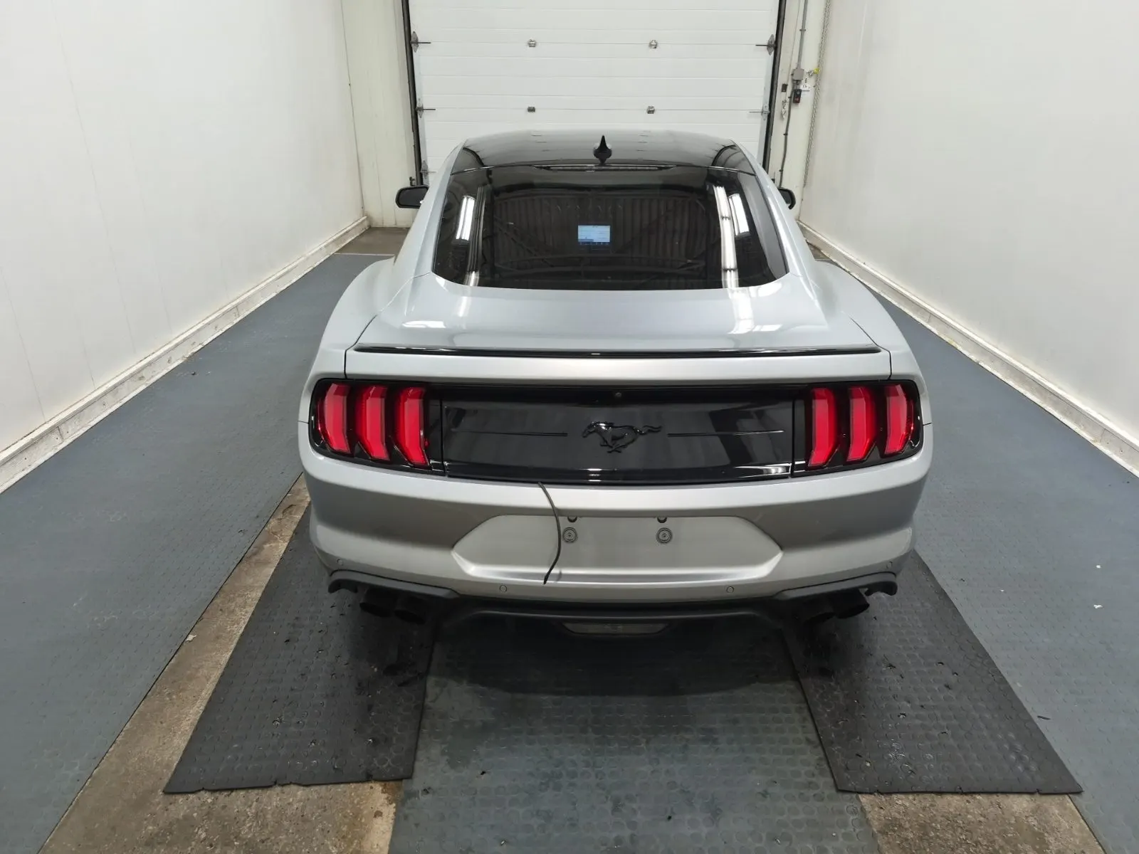 Full Rear Photo