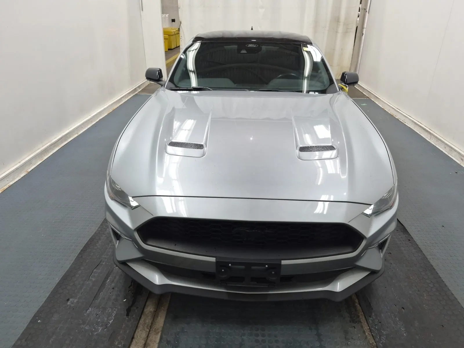 Full Front Photo
