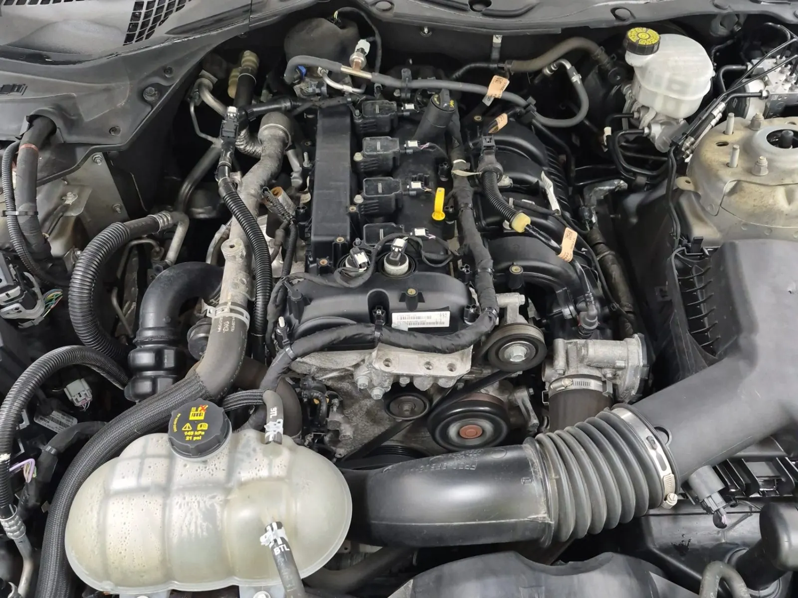 Engine Photo