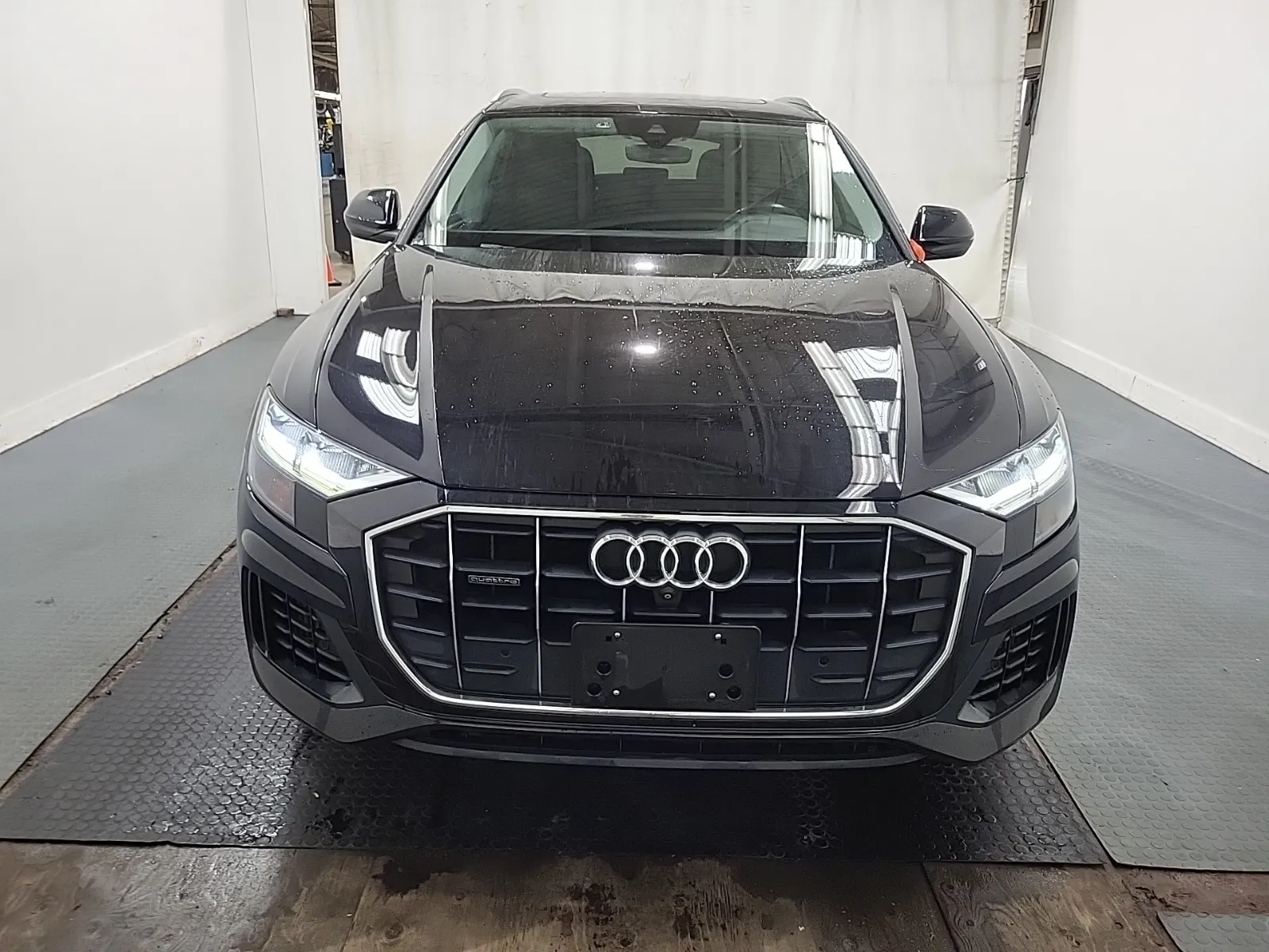 Full Front Photo