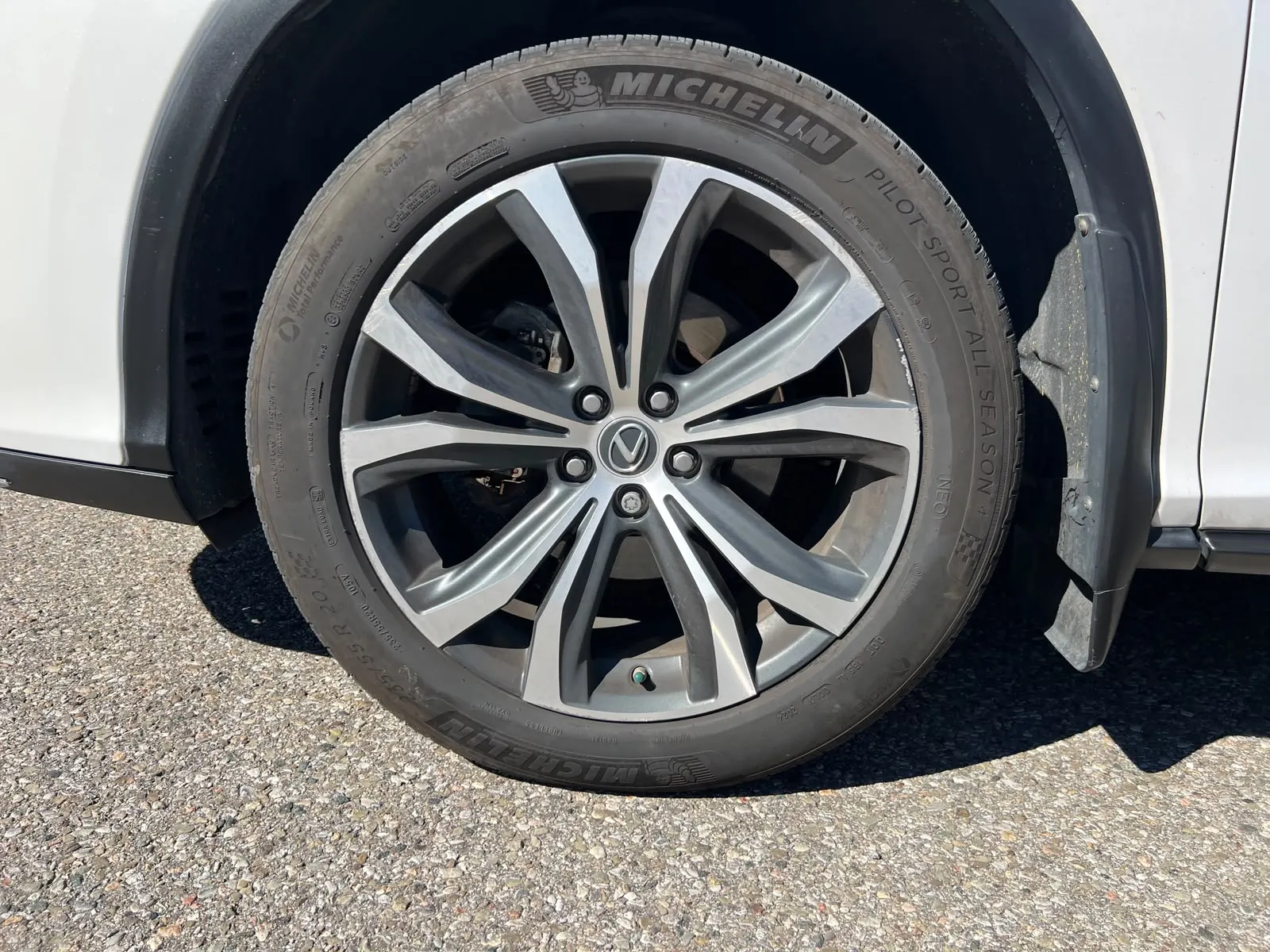 Additional Photo