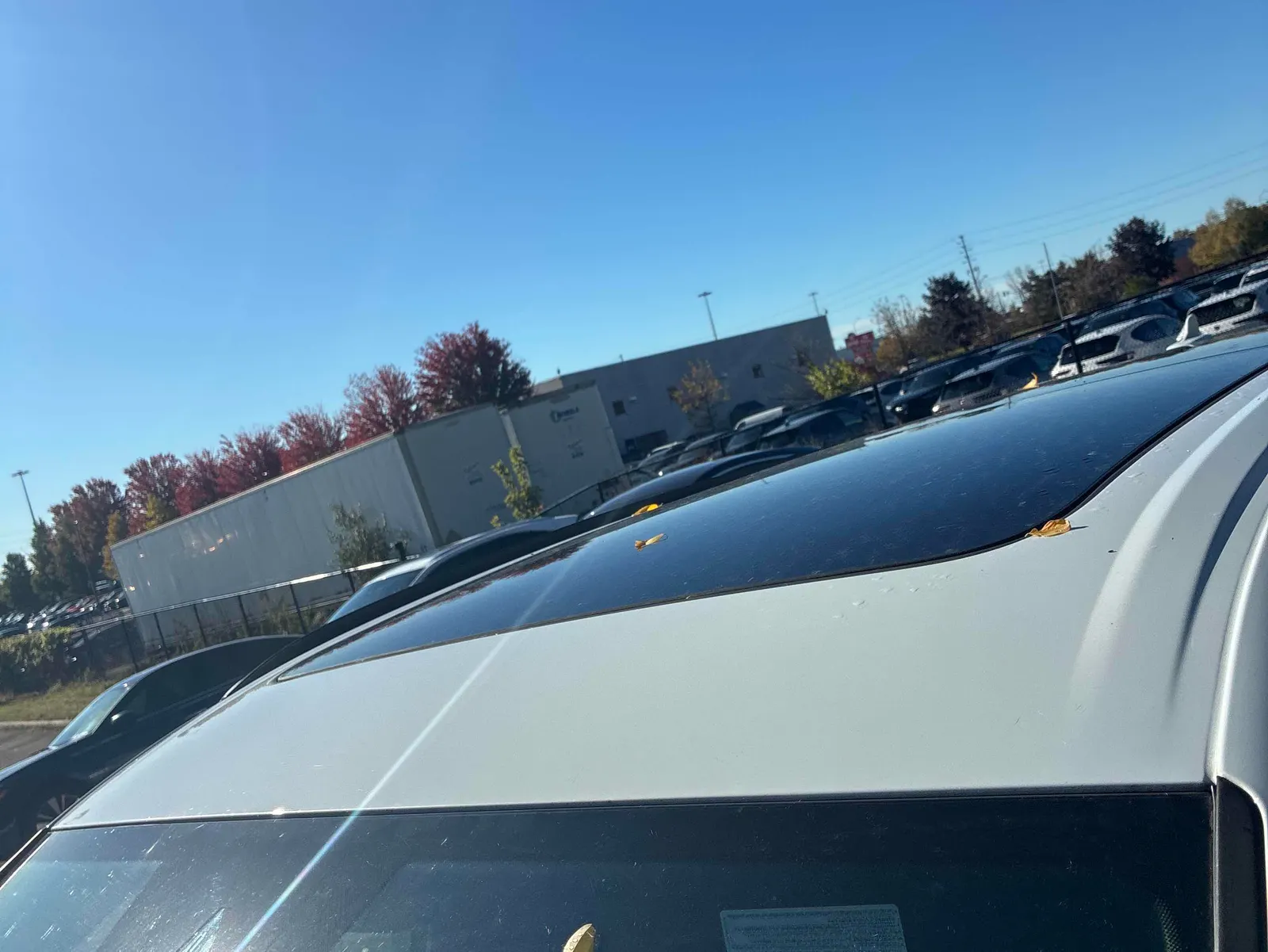 Additional Photo