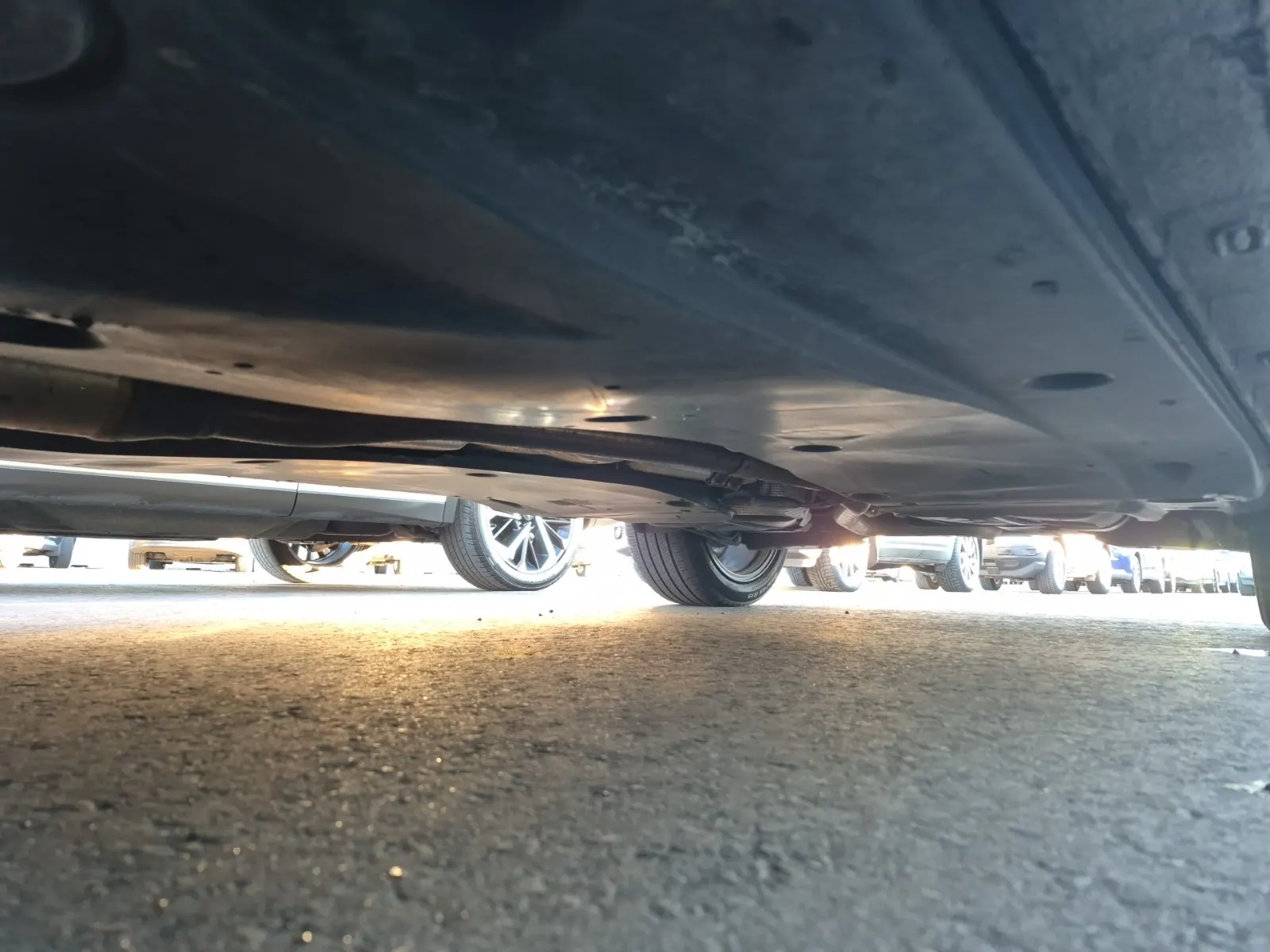 Undercarriage - Driver Photo