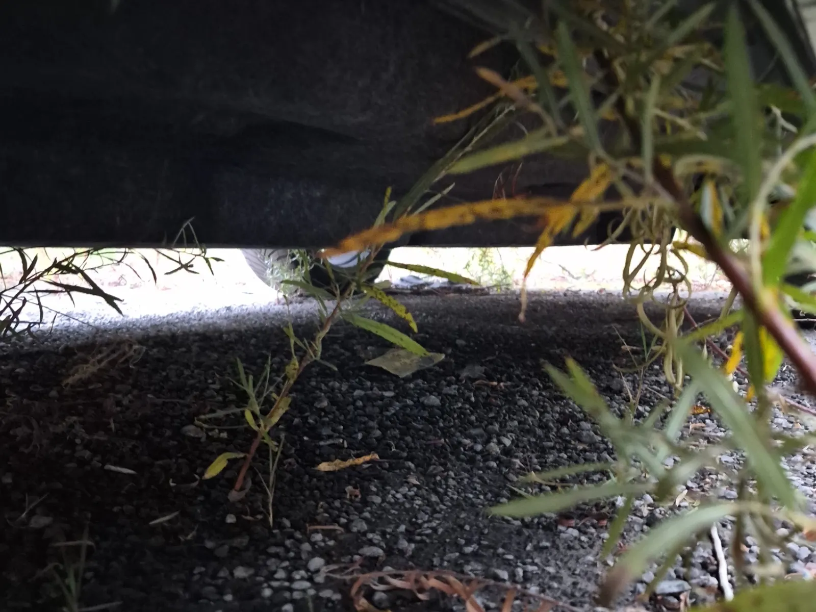 Undercarriage - Driver Photo