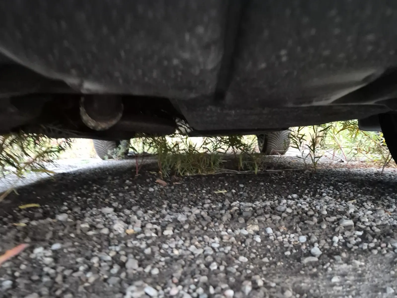 Undercarriage - Front Photo