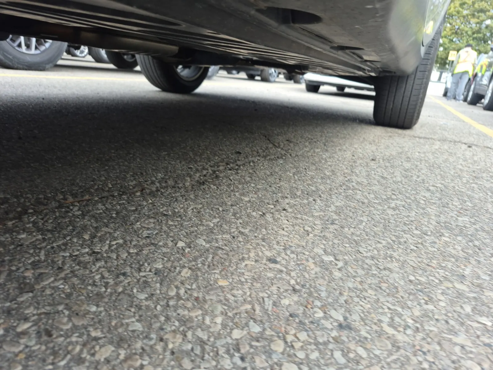 Undercarriage - Driver Photo