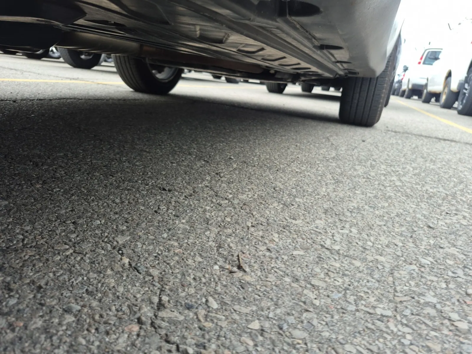 Undercarriage - Passenger Photo