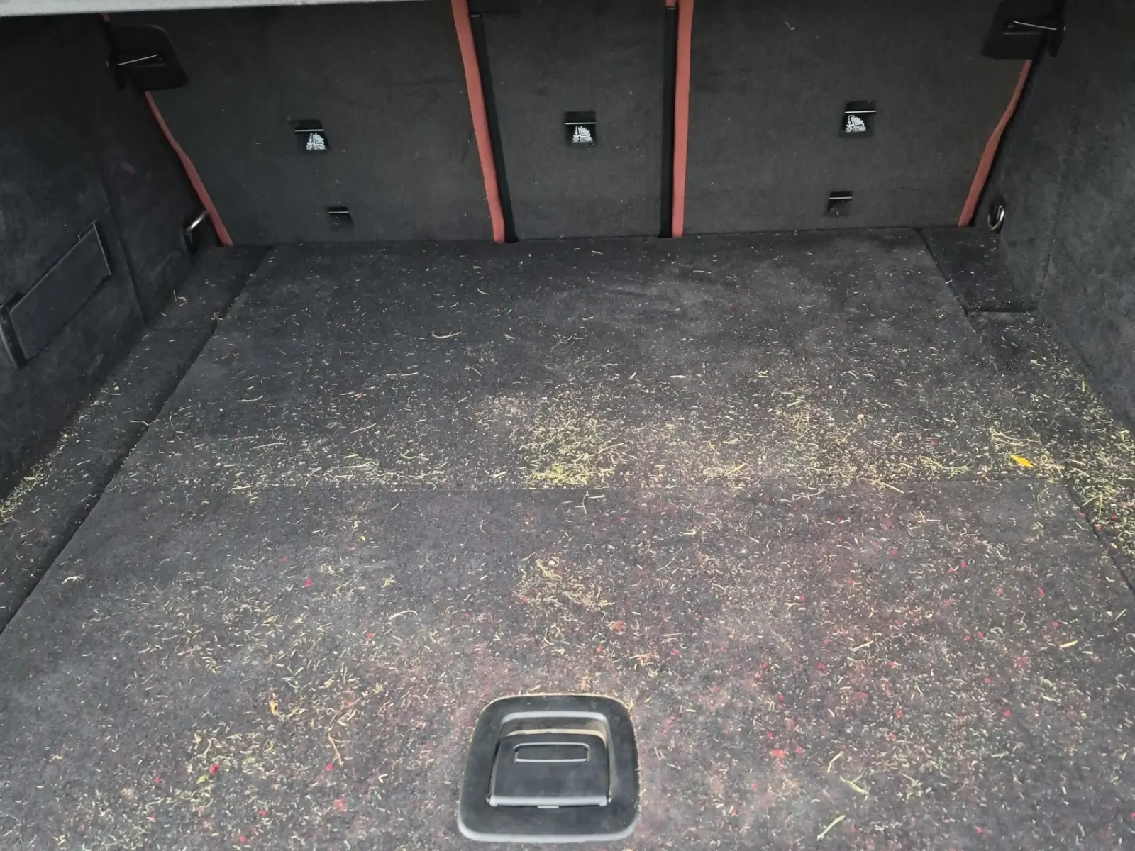 Cargo Area Photo