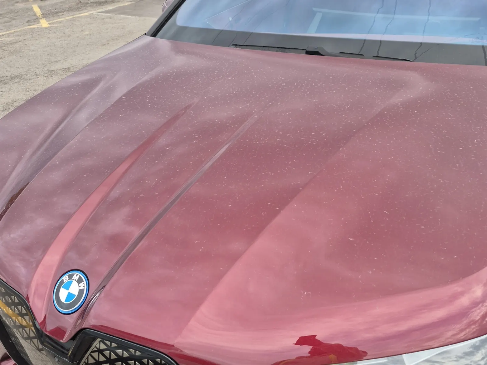 Emission Sticker Photo