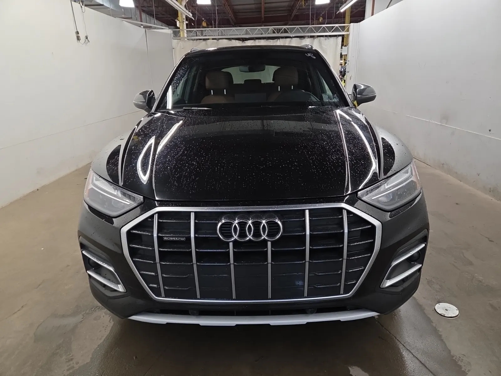 Full Front Photo