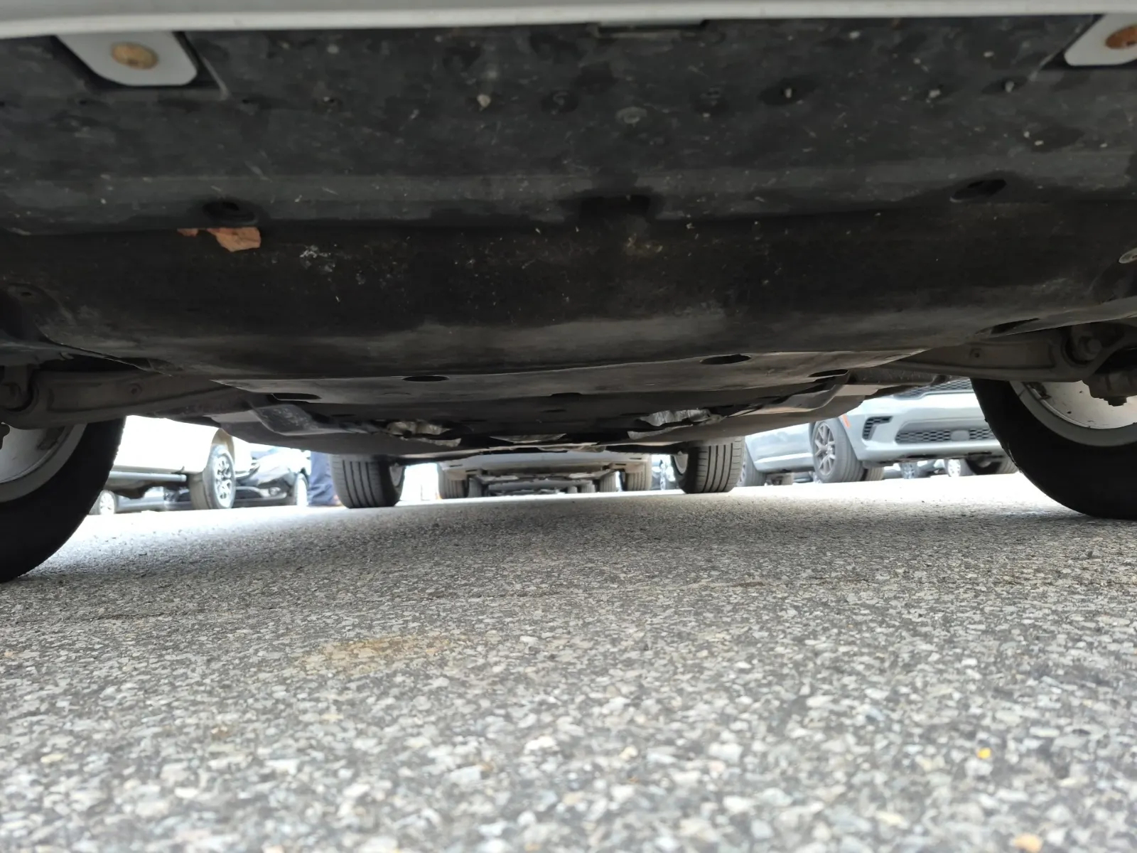 Undercarriage - Front Photo