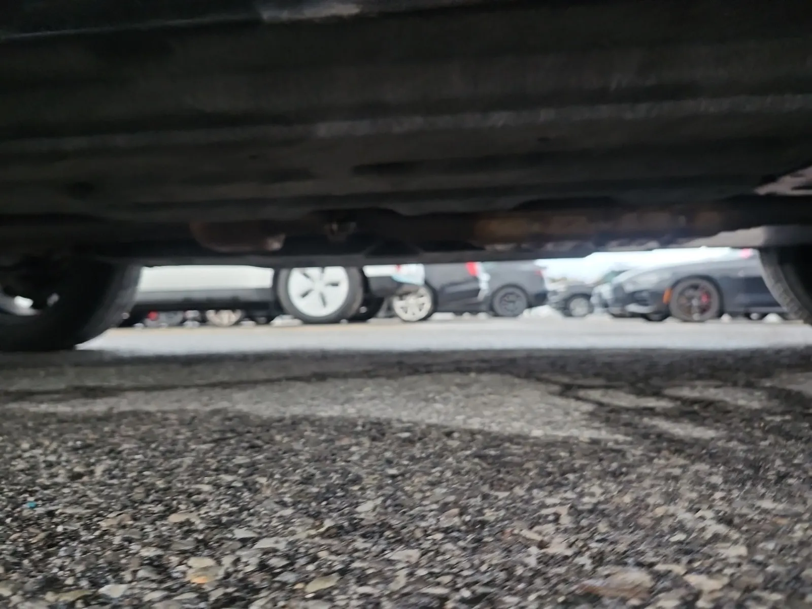 Undercarriage - Driver Photo