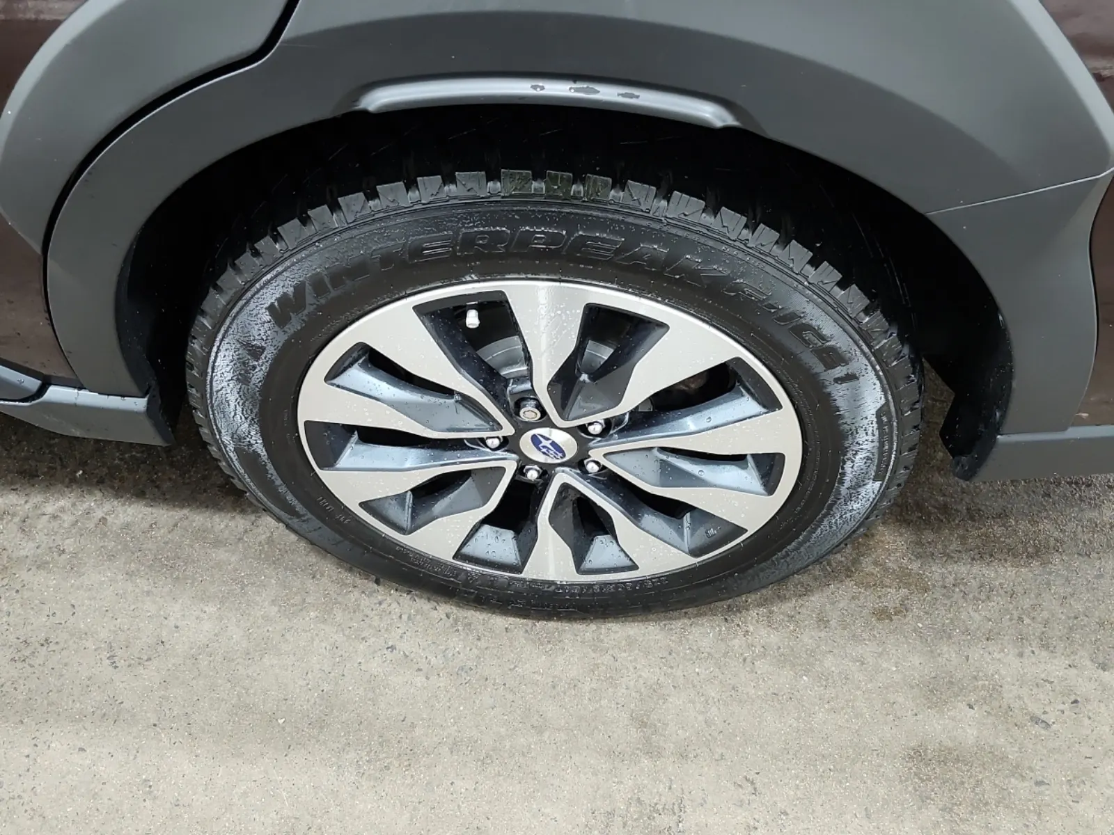 Left Rear Wheel/Tire Photo
