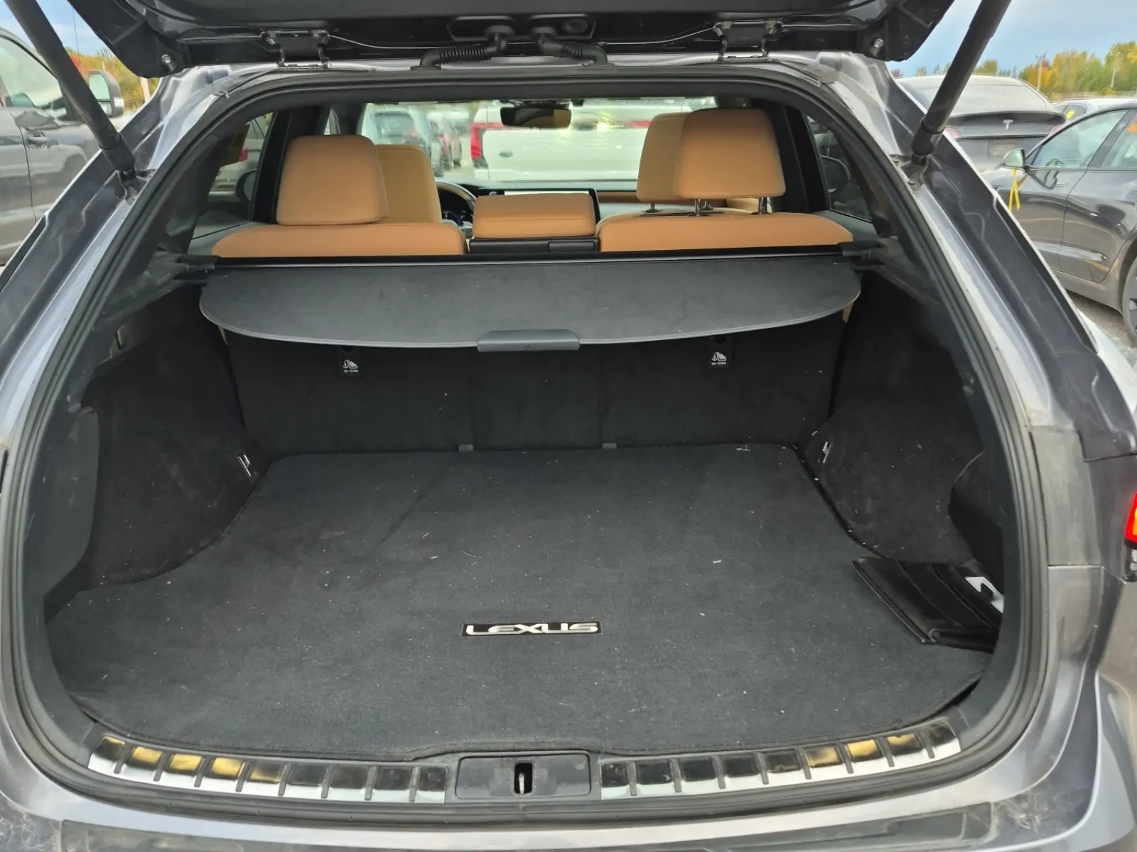 Cargo Area Photo