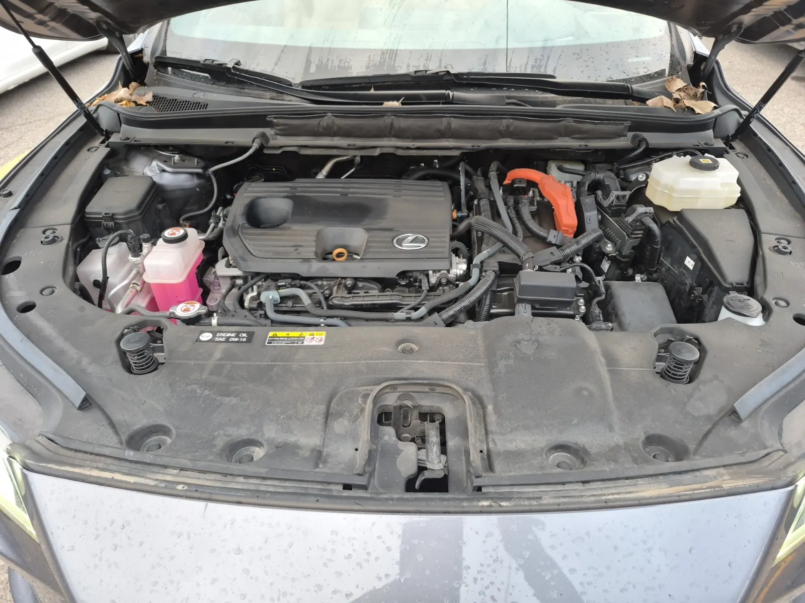 Engine Photo