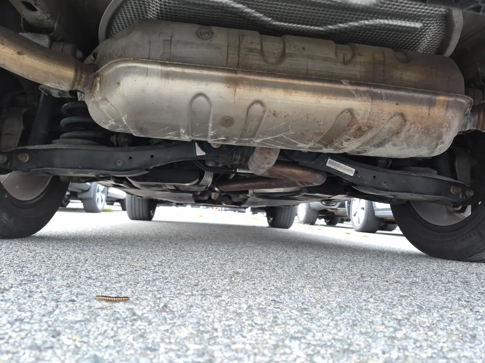 Undercarriage - Rear Photo