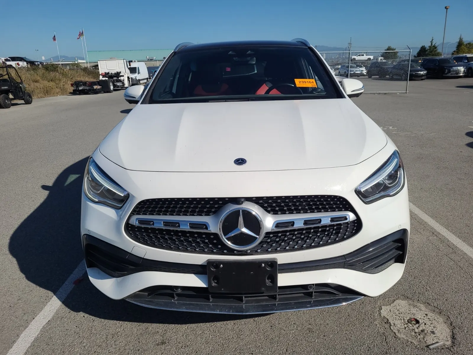 Full Front Photo