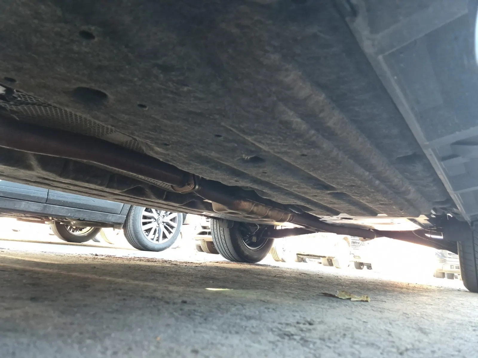 Undercarriage - Driver Photo