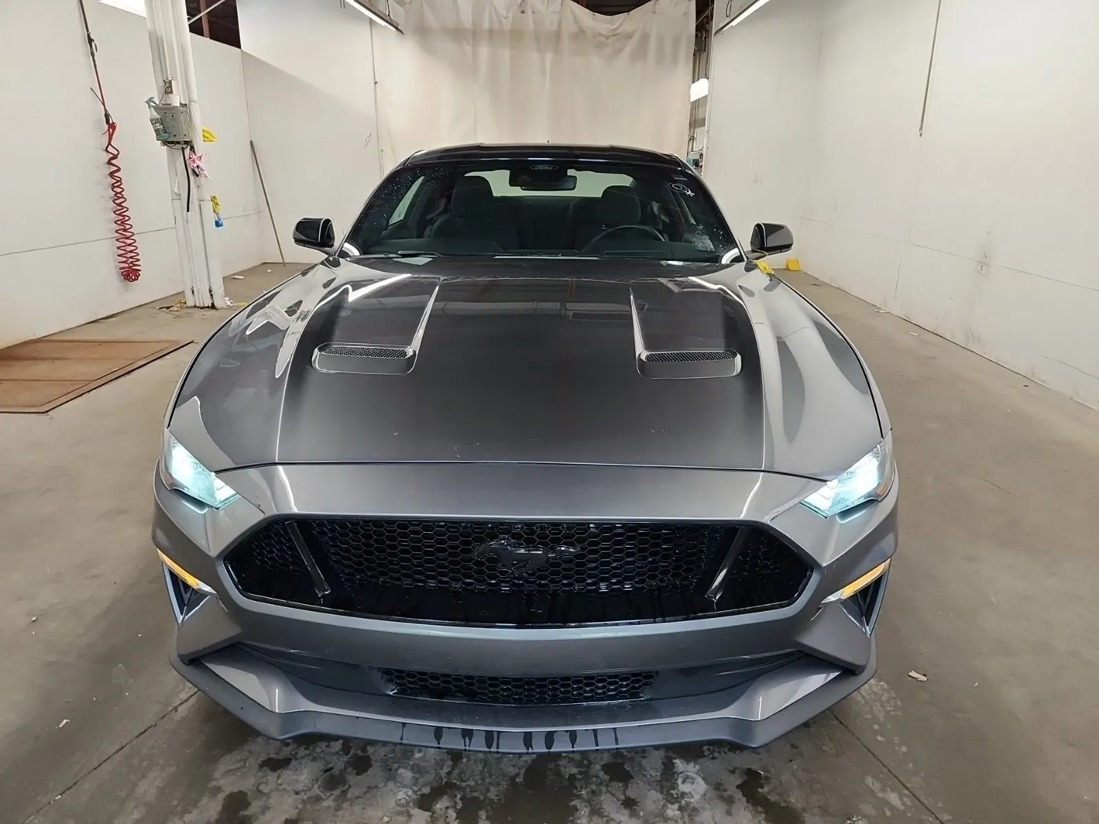 Full Front Photo