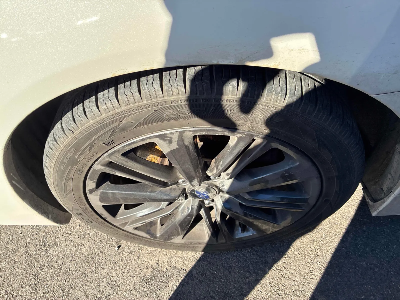 Tire
