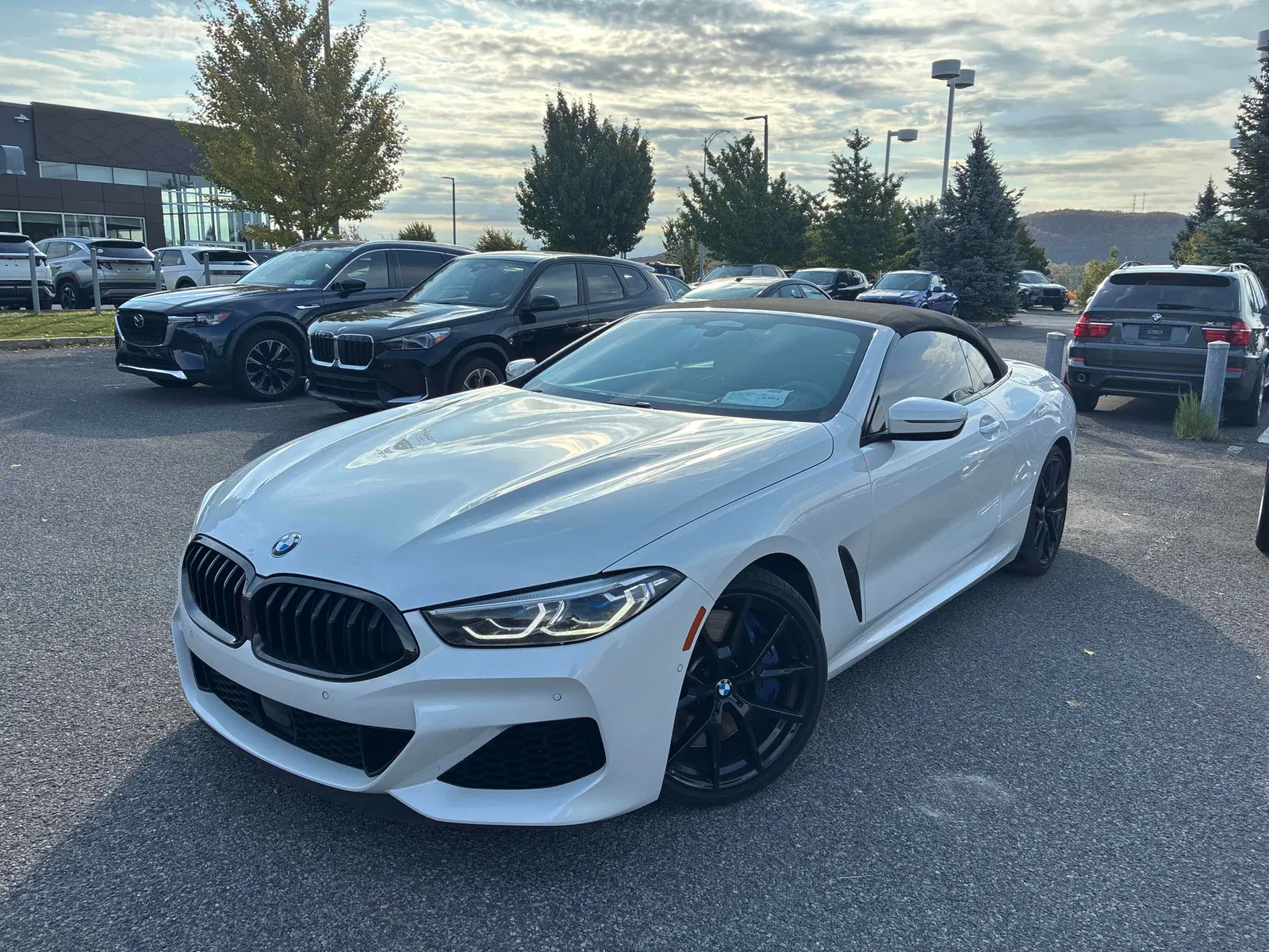 2019 BMW 8 Series