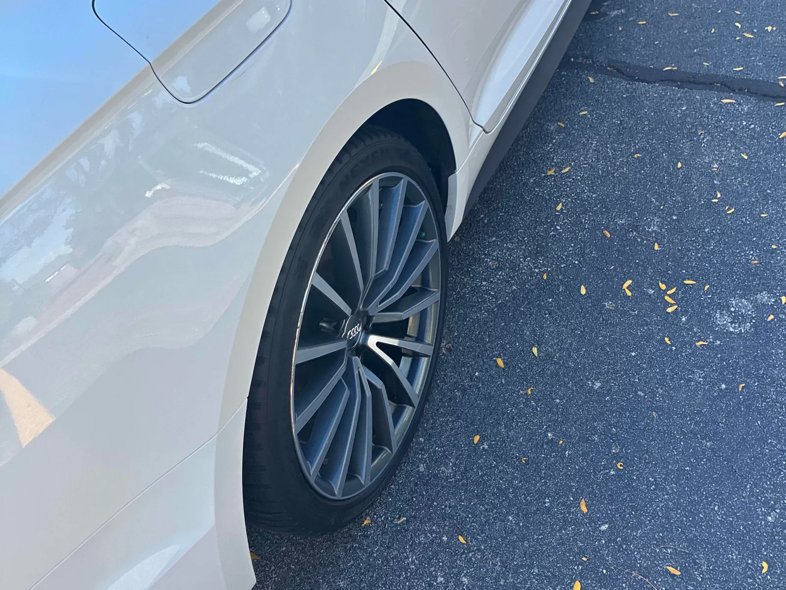 Additional Photo