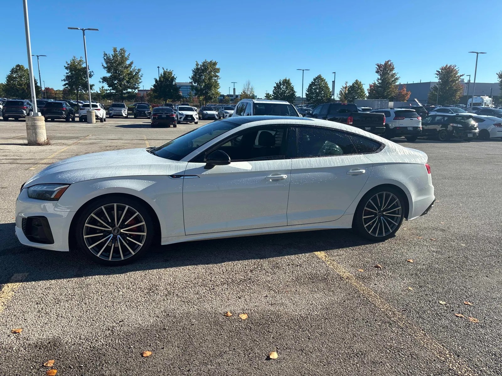 Driver side