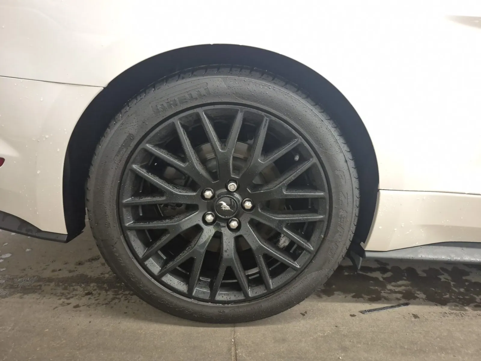 Right Rear Wheel/Tire Photo