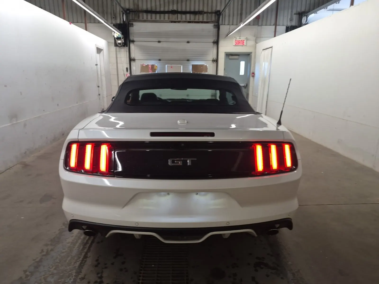 Full Rear Photo