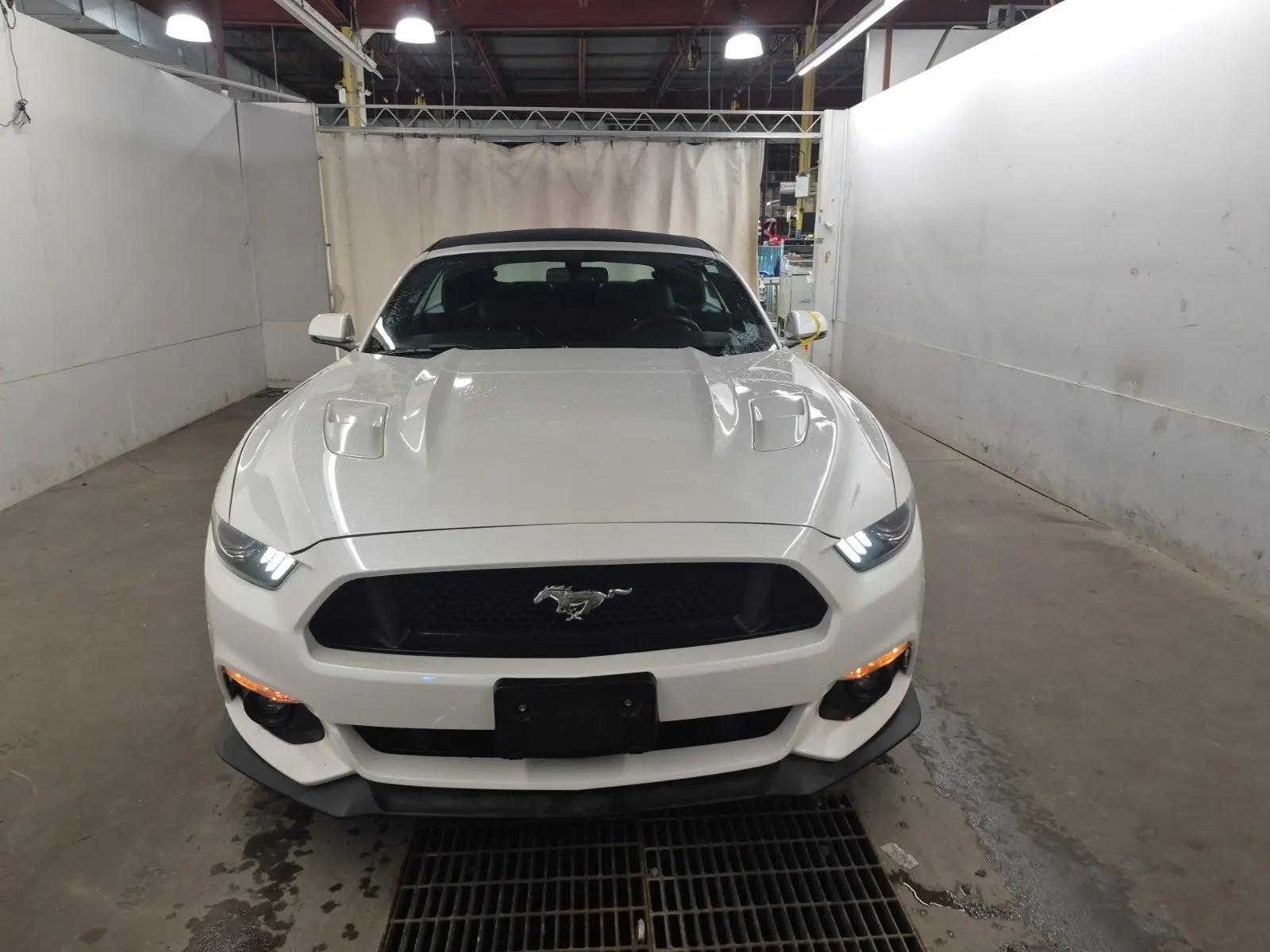 Full Front Photo
