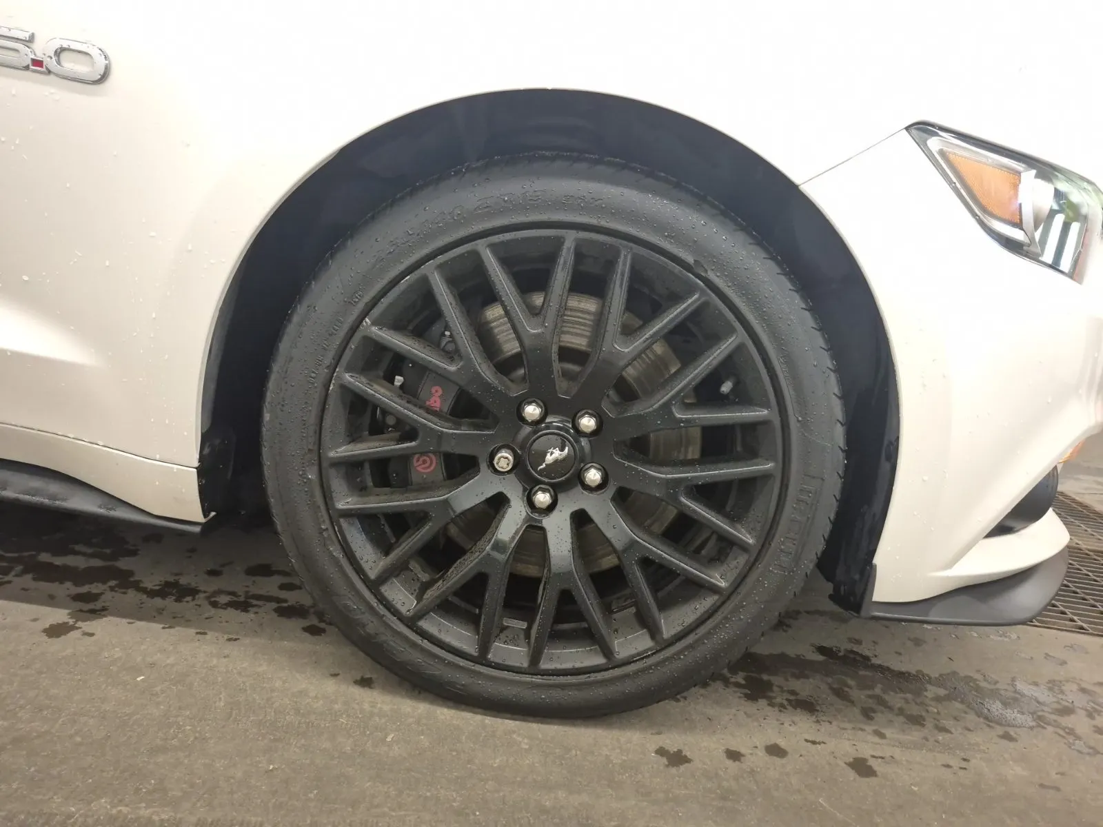 Right Front Wheel/Tire Photo