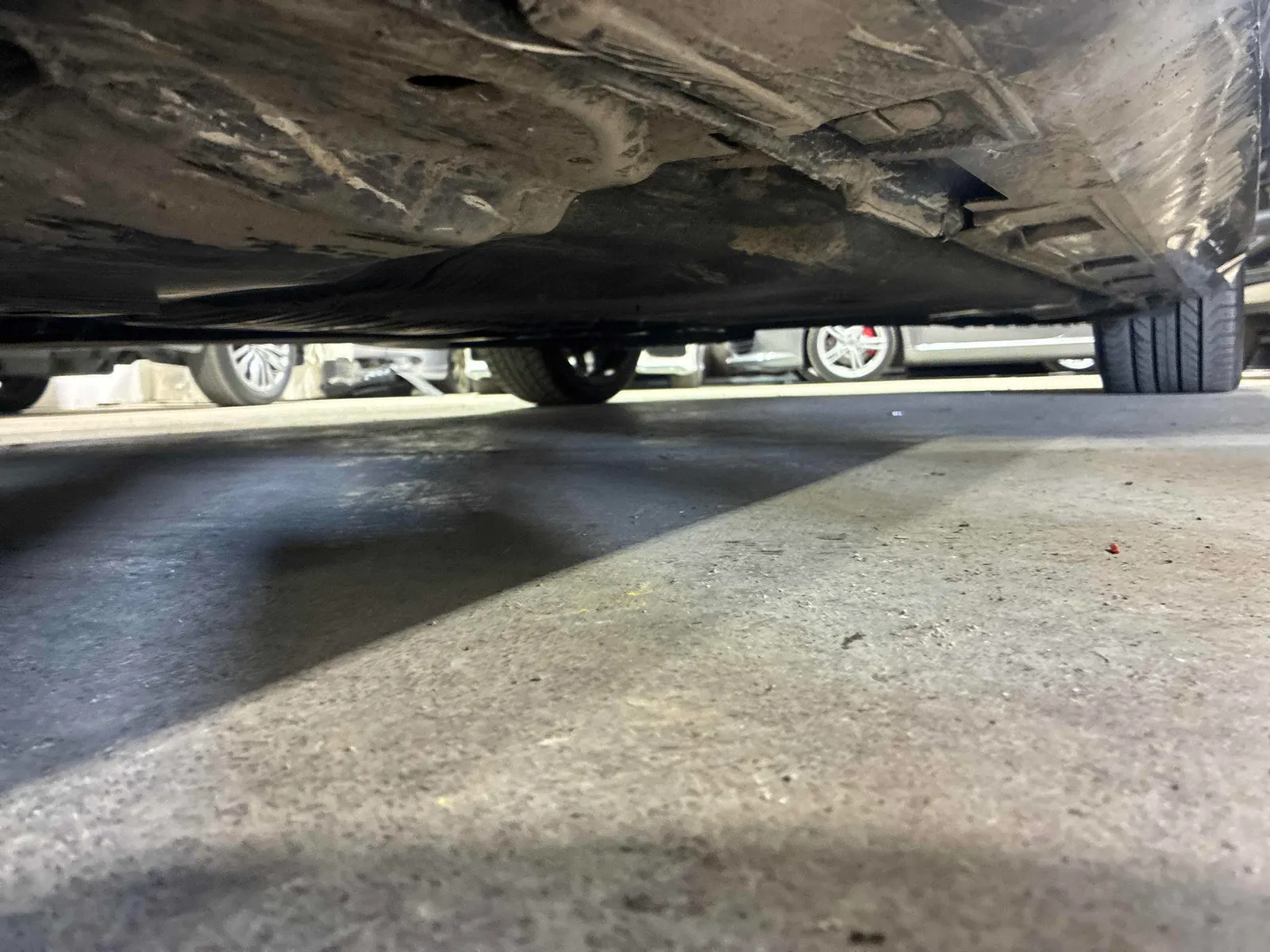 Additional Photo