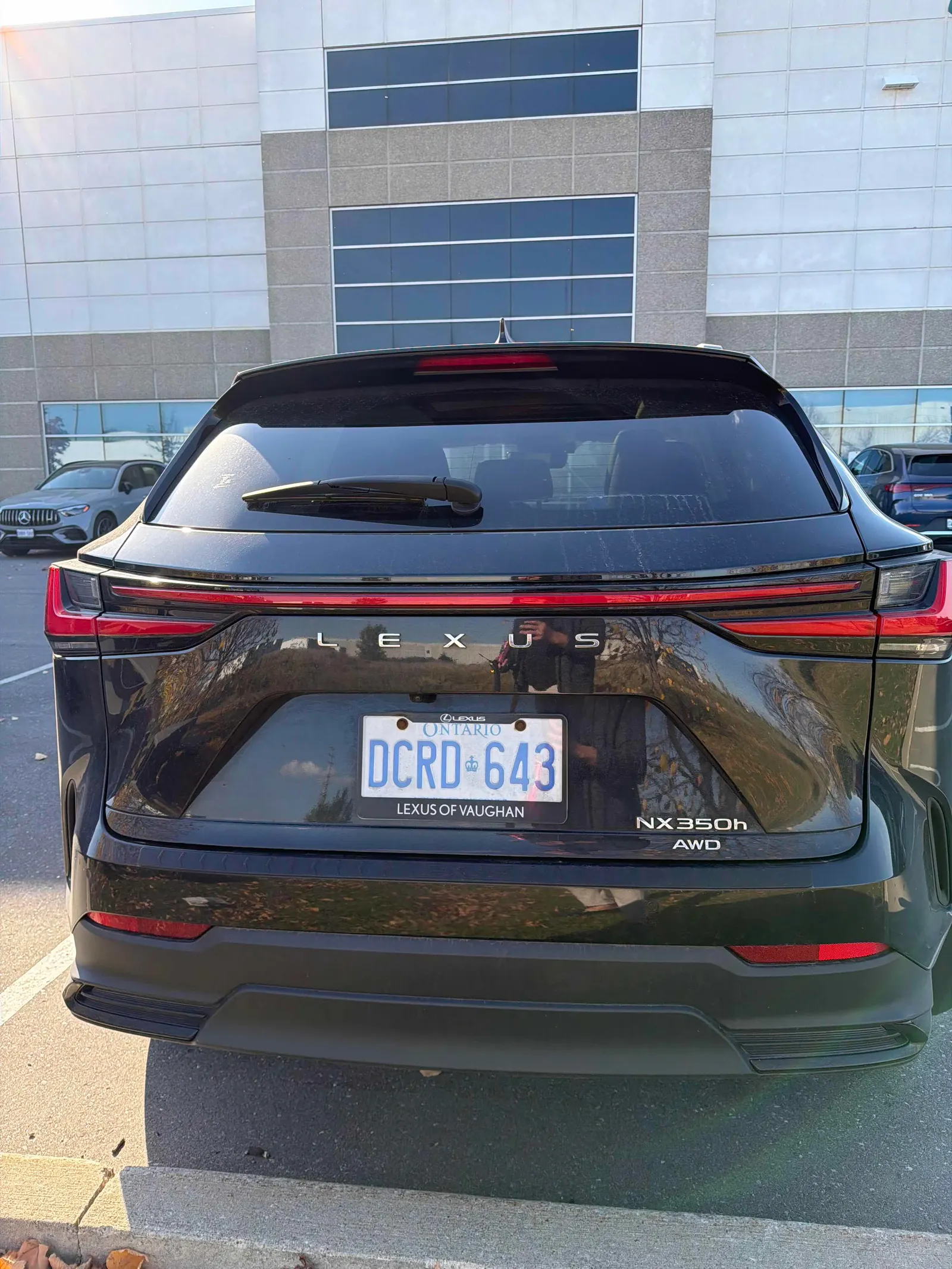 Back