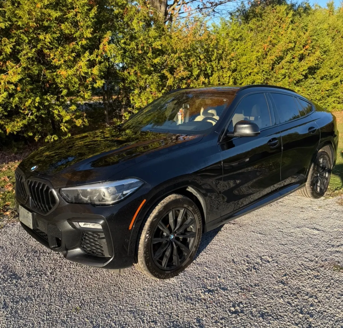 2021 BMW X6