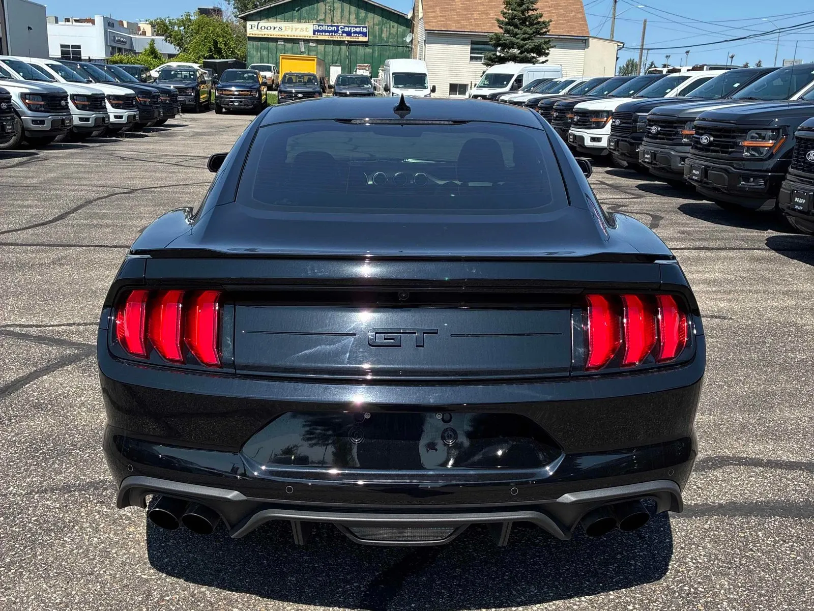 Back