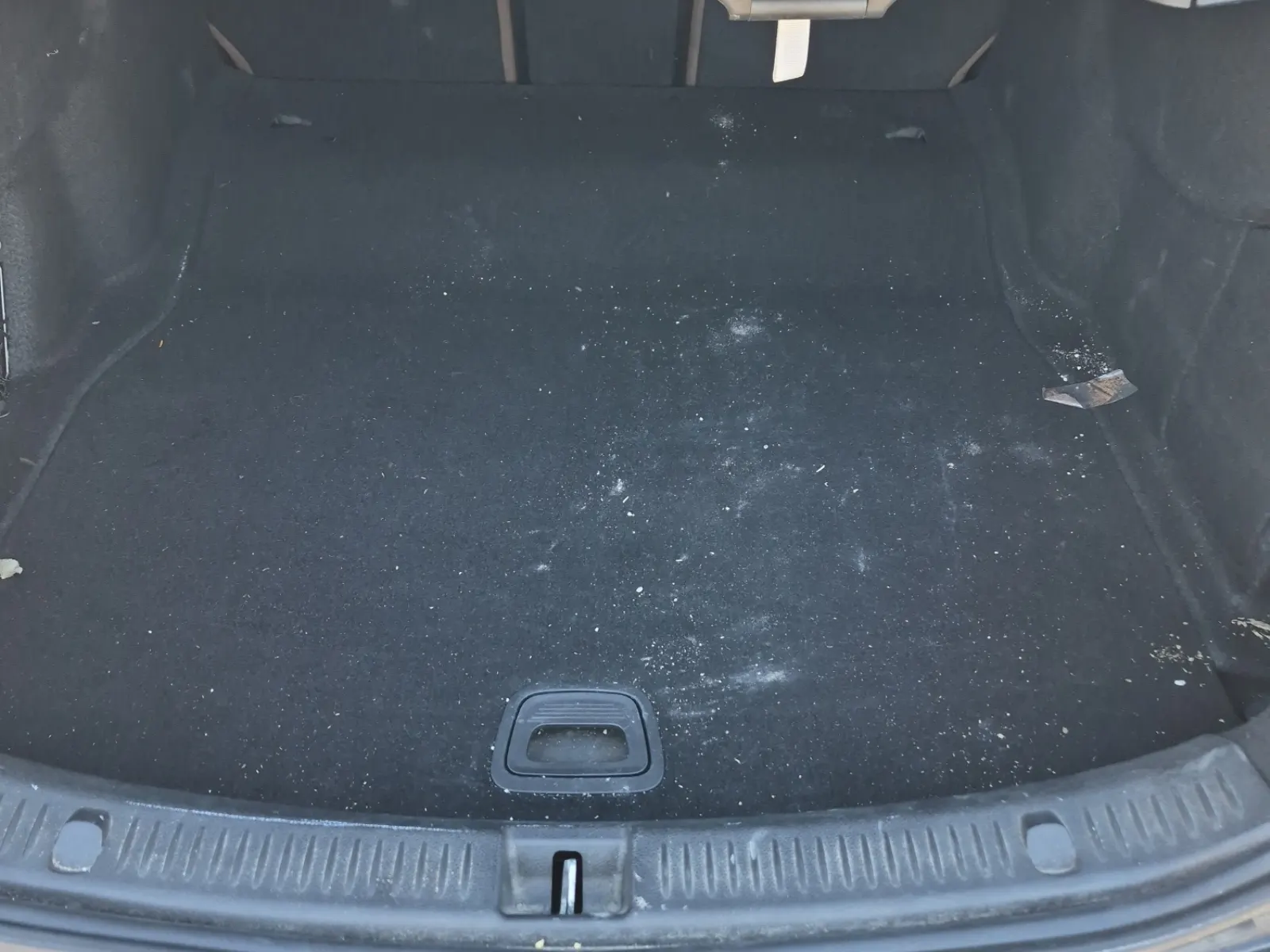 Cargo Area Photo