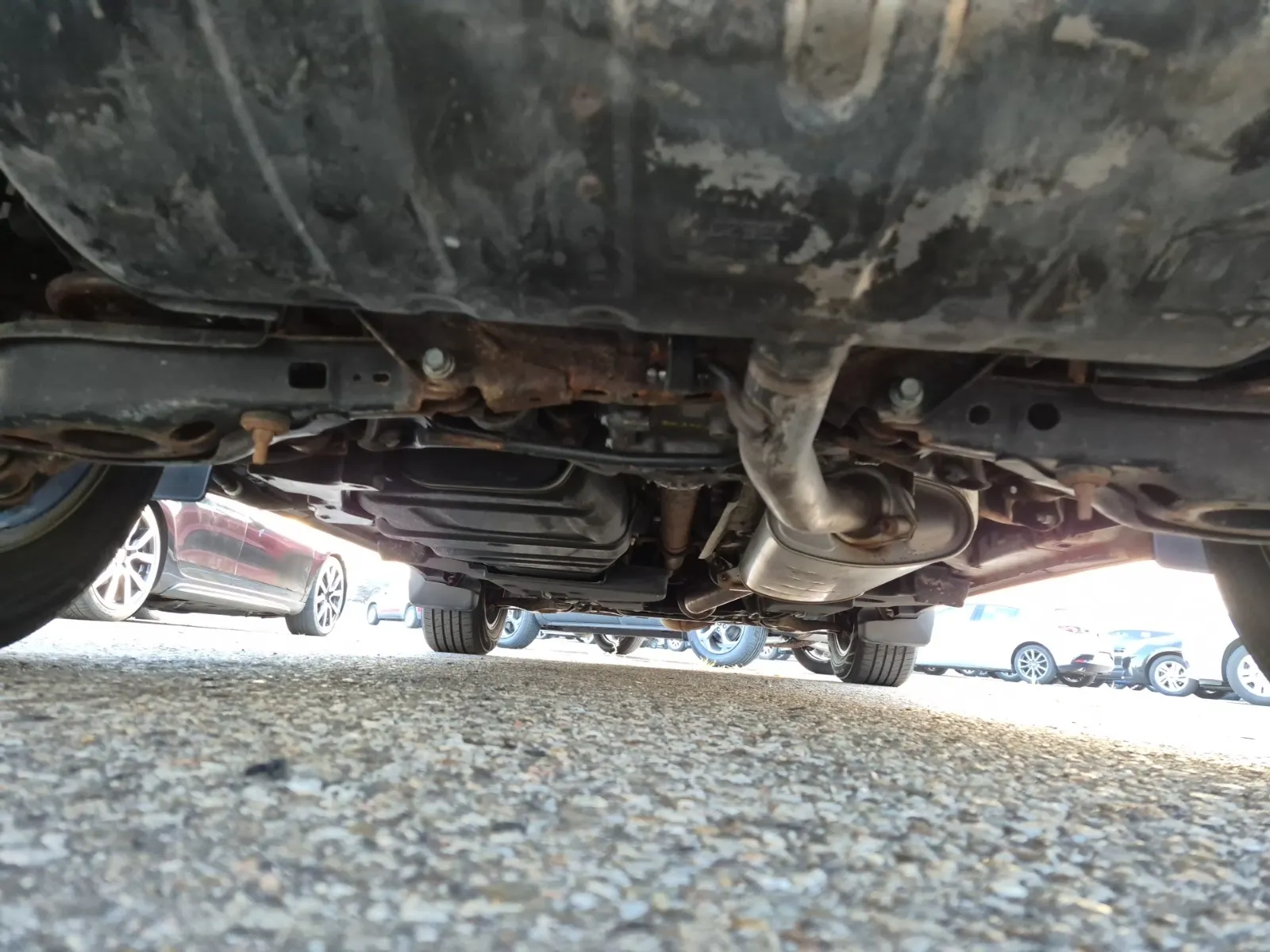 Undercarriage - Rear Photo