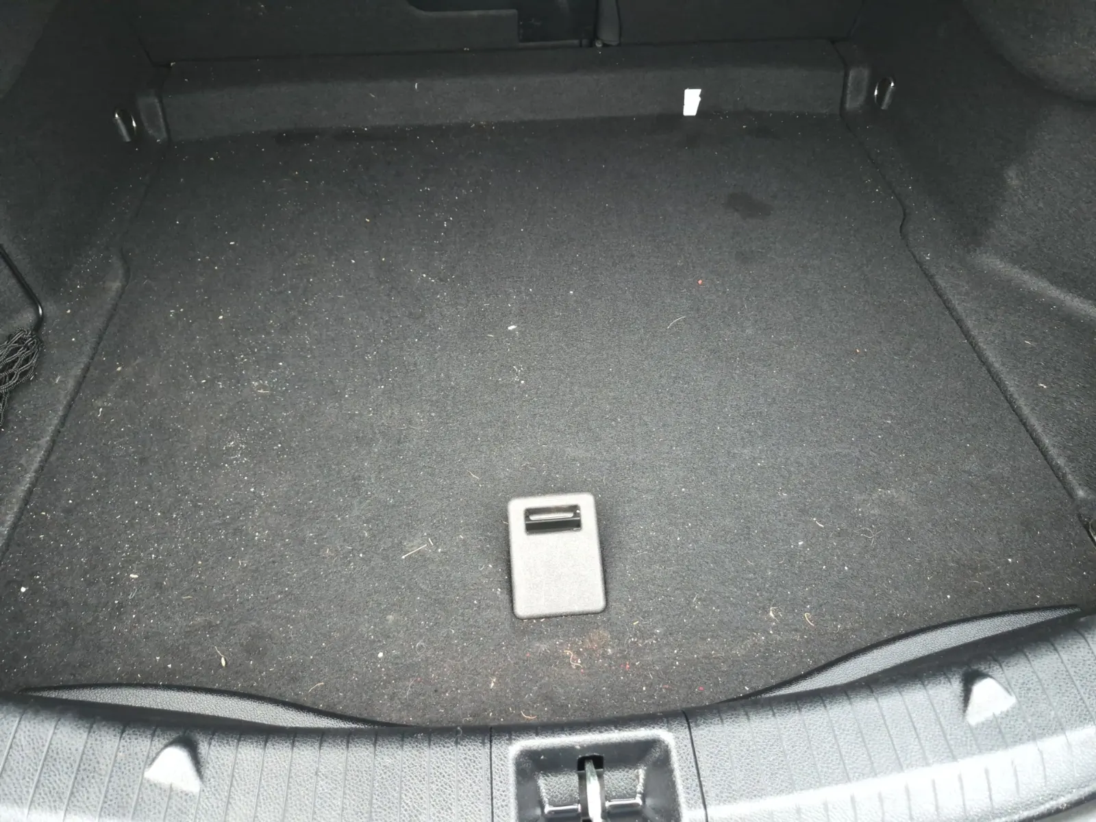 Cargo Area Photo