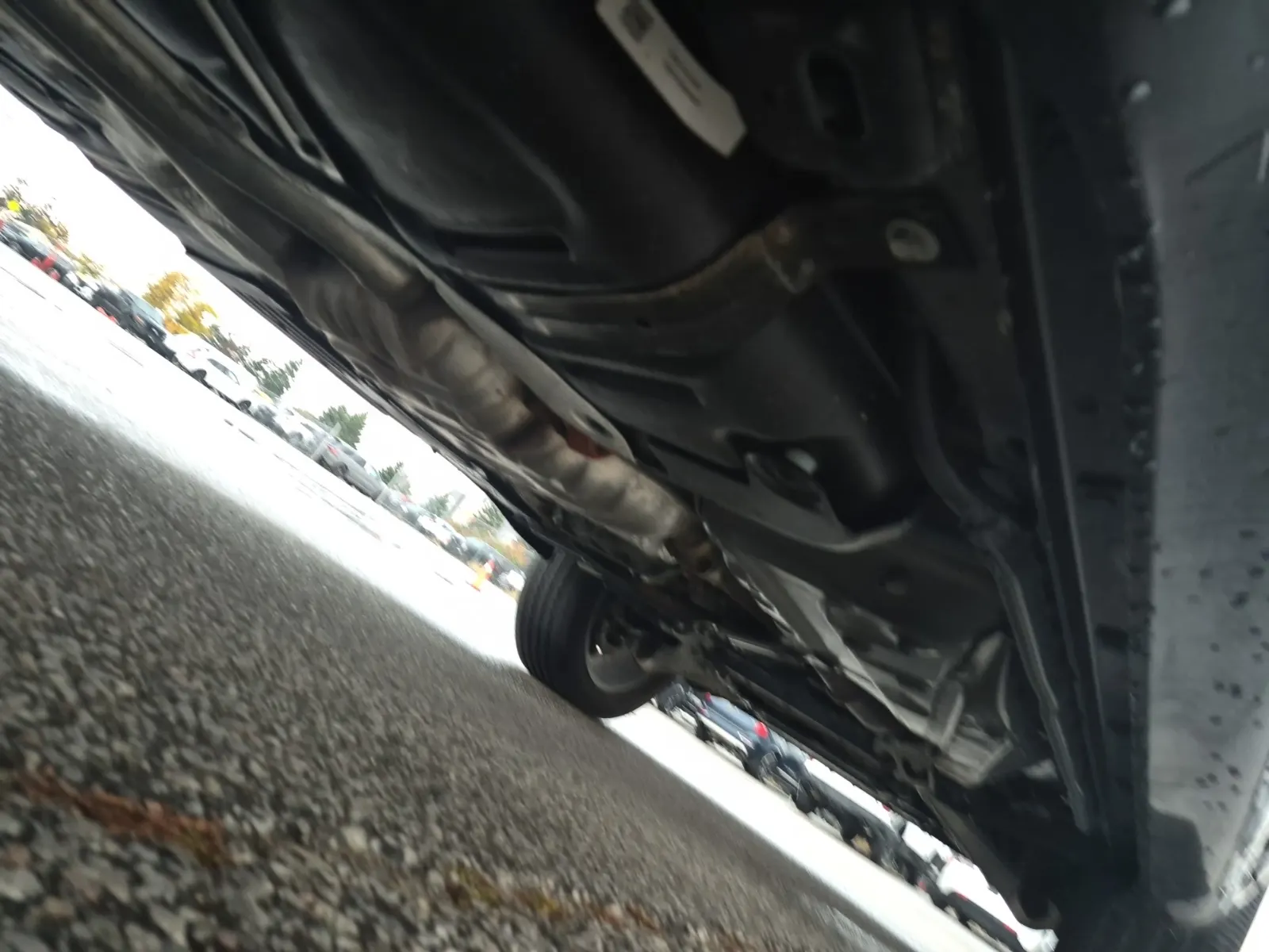 Undercarriage - Passenger Photo