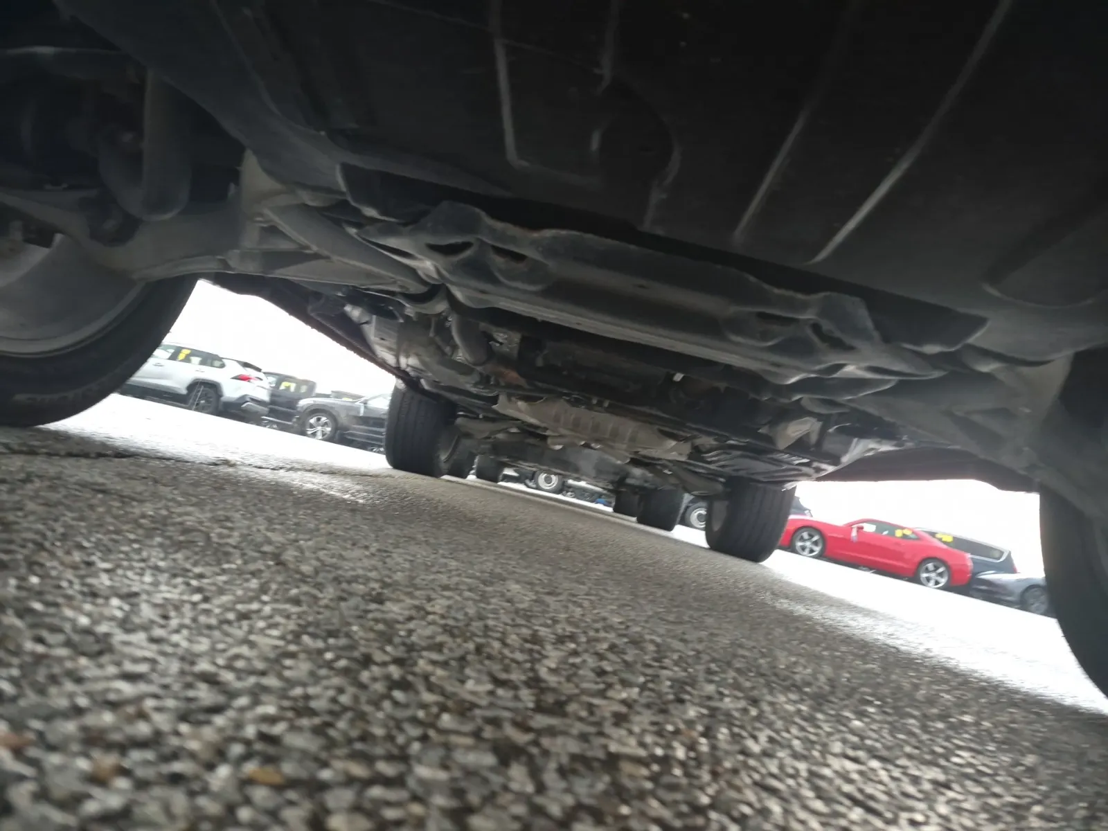 Undercarriage - Front Photo