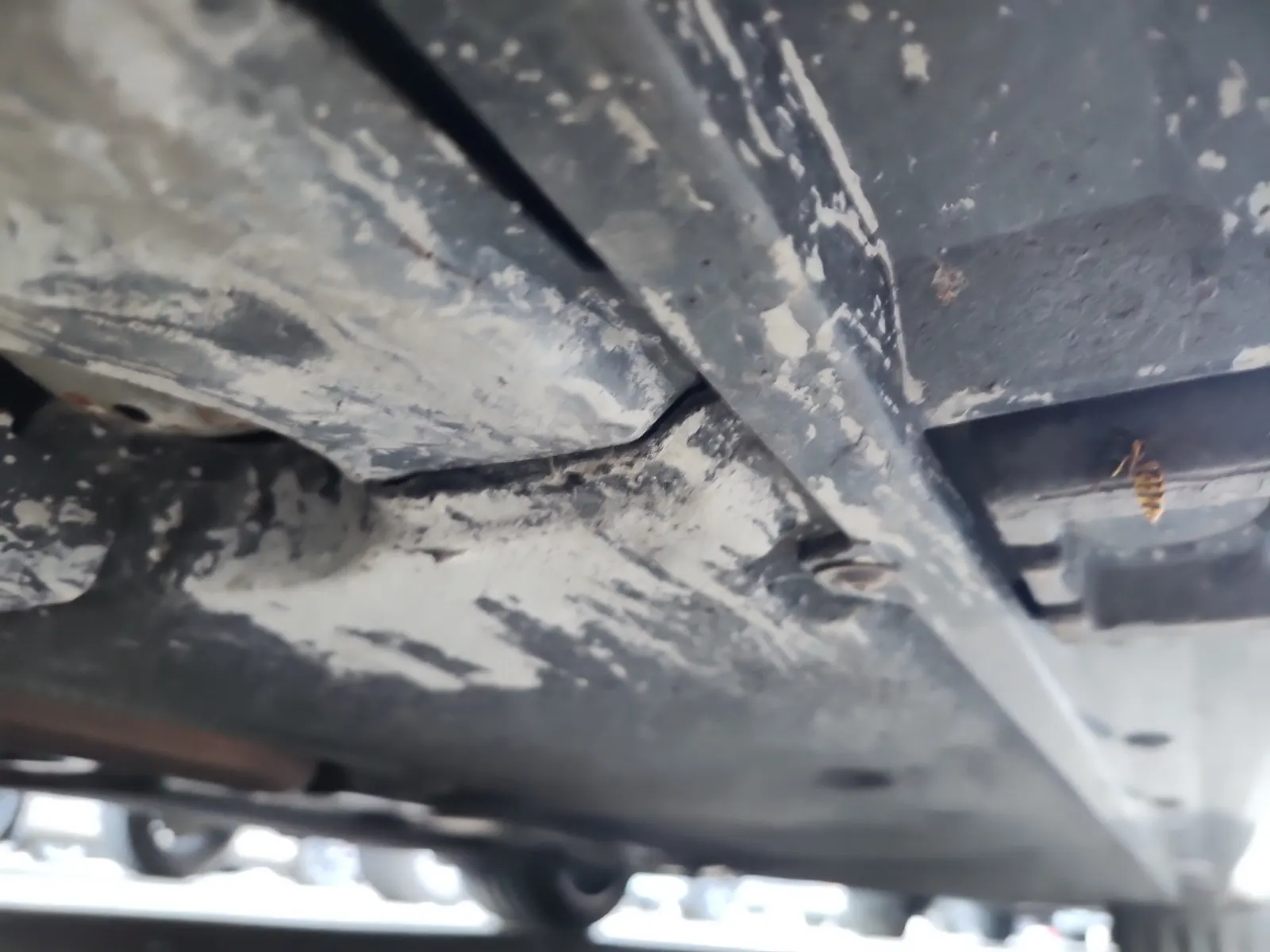 Undercarriage - Driver Photo