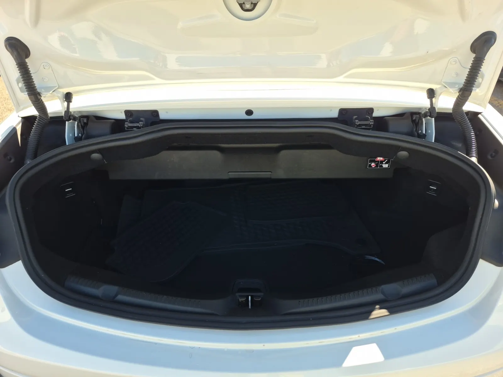 Cargo Area Photo