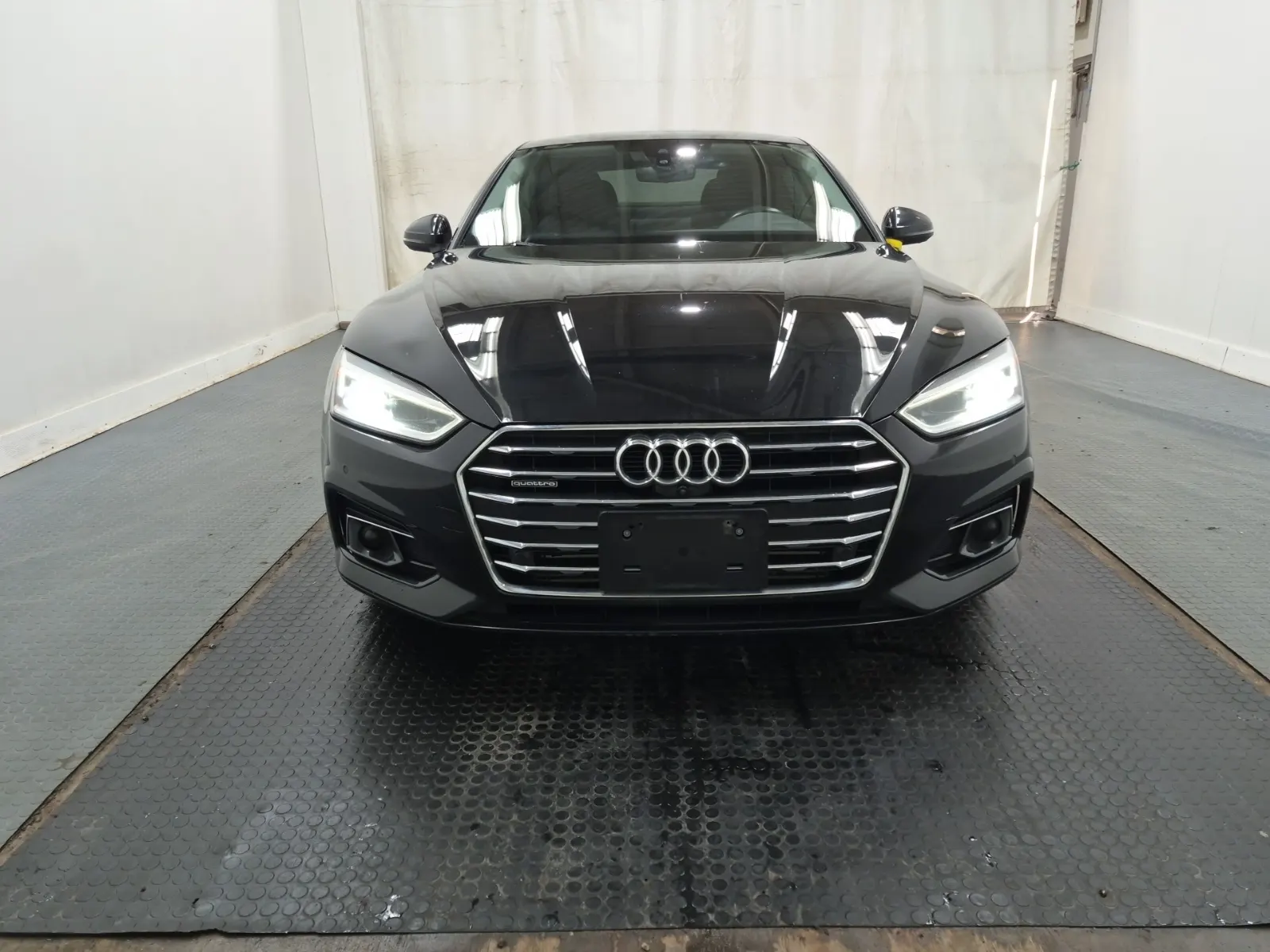 Full Front Photo