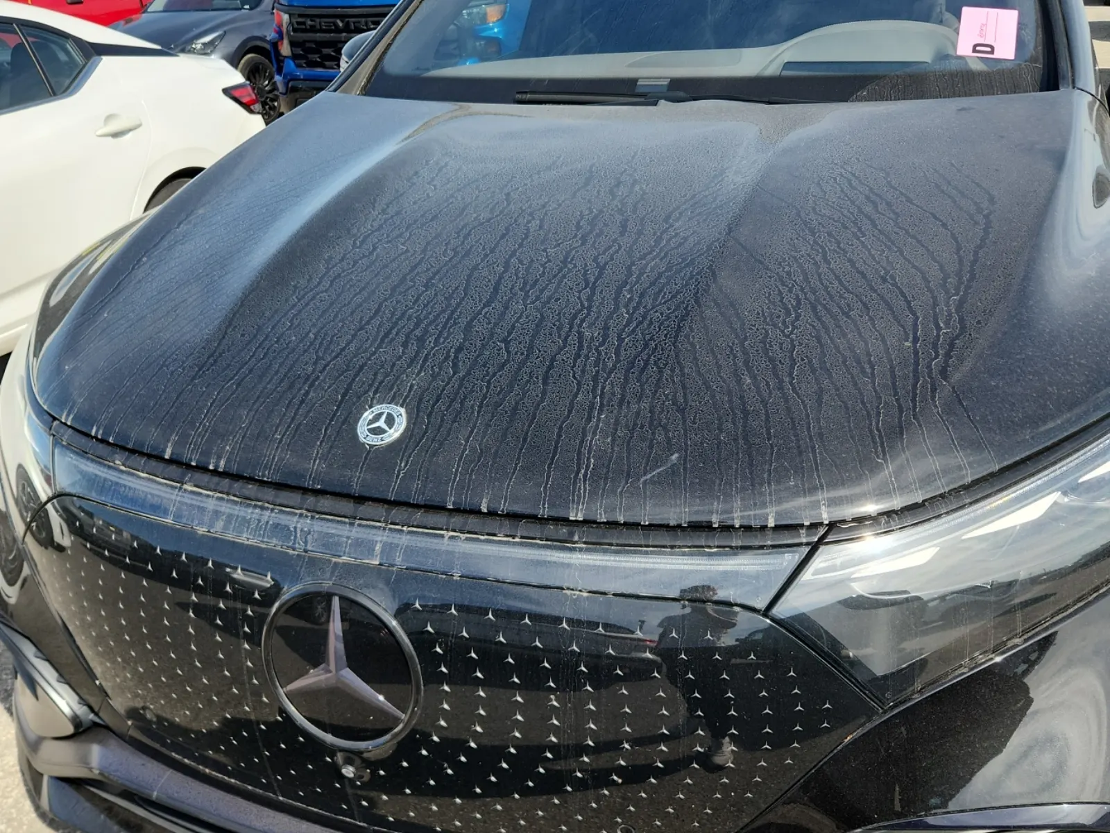 Emission Sticker Photo